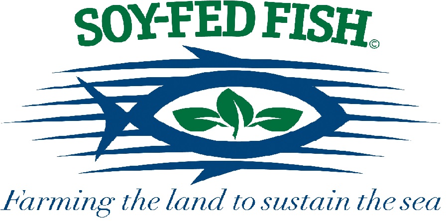 Soy-fed fish